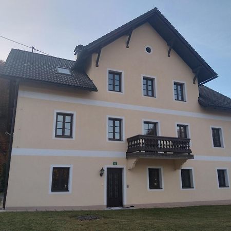 Ferienwohnungen Viktoria Buchegger Грюнау-им-Альмталь Экстерьер фото